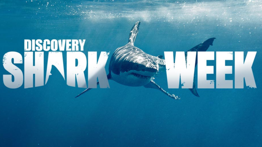 Discovery releases dates, teaser trailer for Shark Week 2021 Sharkophile